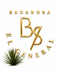 B8 EL GENERAL – Inicio